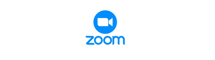 Zoom Logo